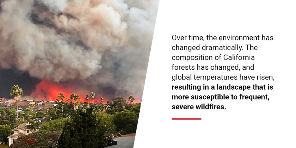 What Are Wildfires?